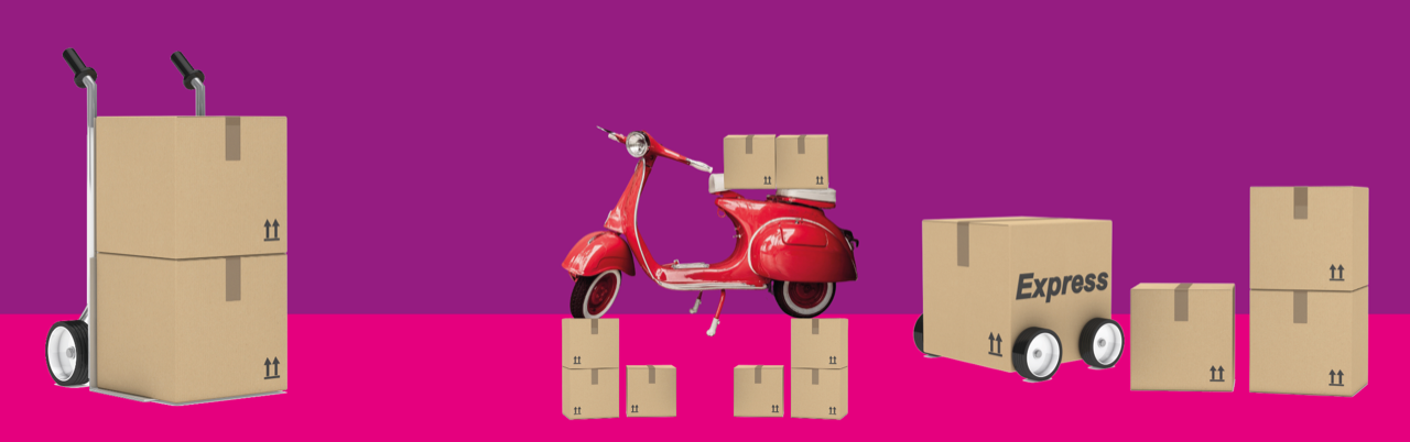 <h1>JOY DELIVERY</h1>consegne su Roma in giornata<br><br>SERVIZIO 100% ANONIMO<br><br>